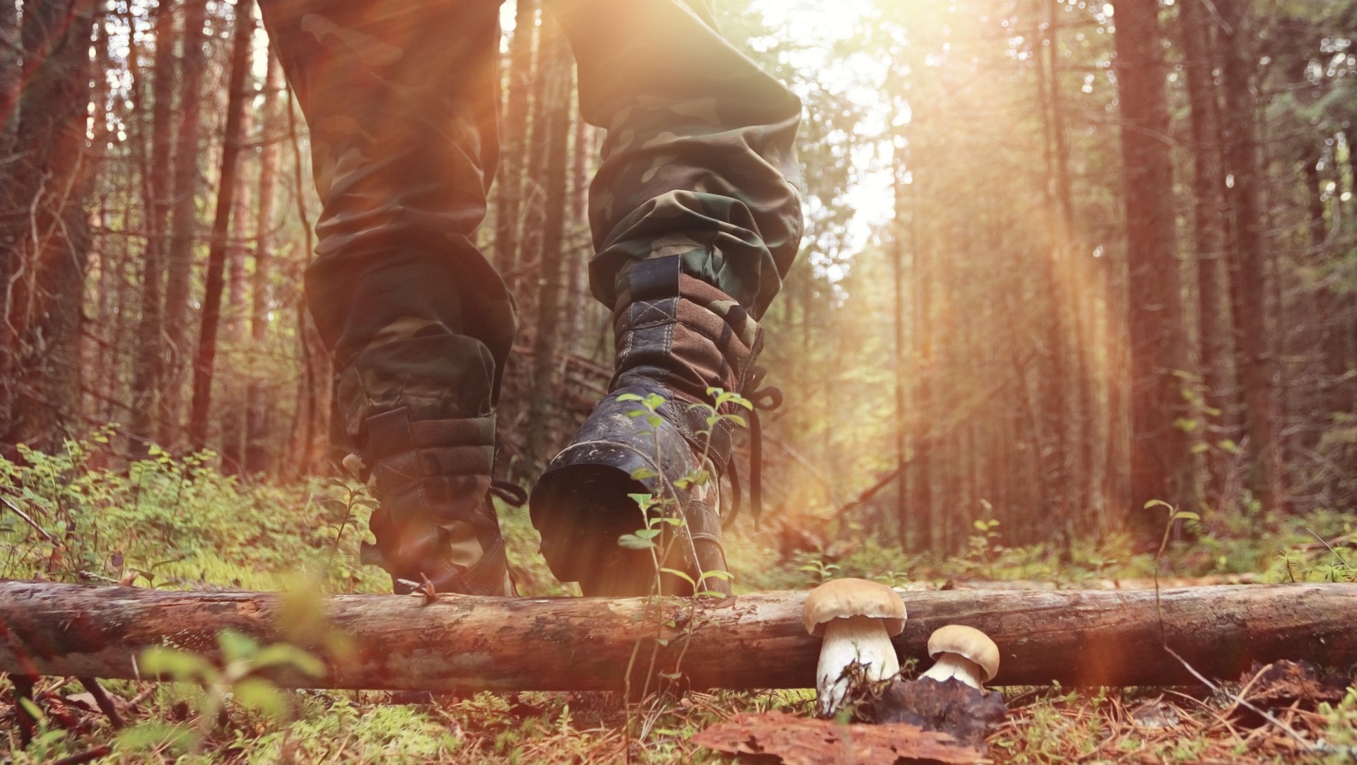 Istock Prepare For Rifle Season
