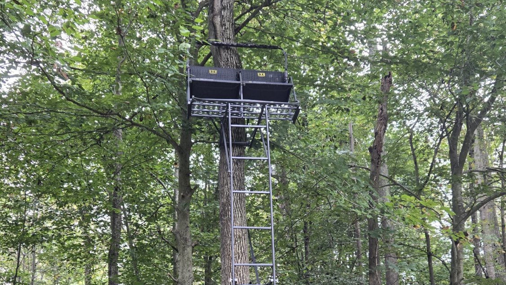 Hawk Denali 2 Man Ladderstand