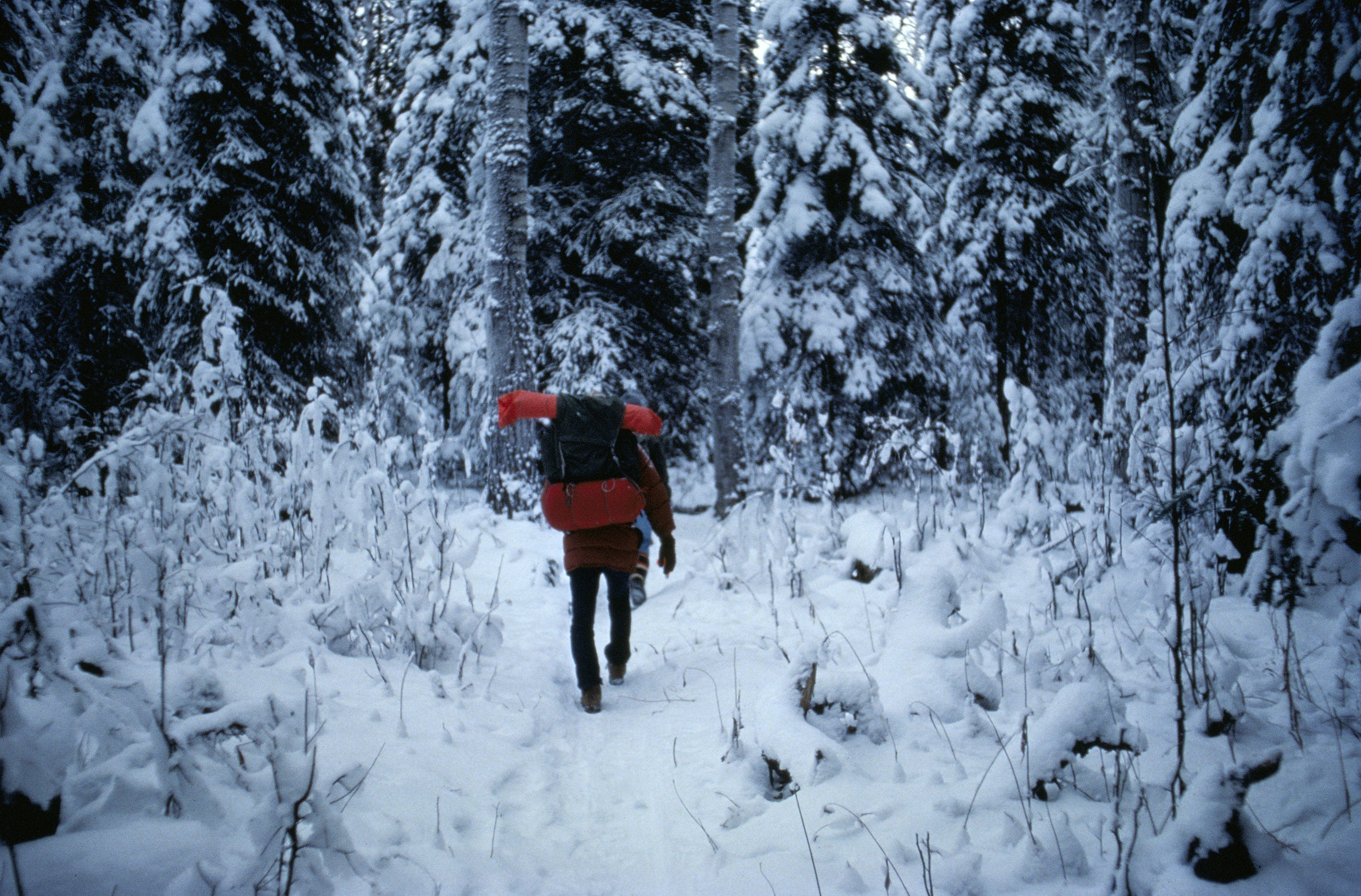winter_backpacking_at_kenai_national_wildlife_refuge.jpg