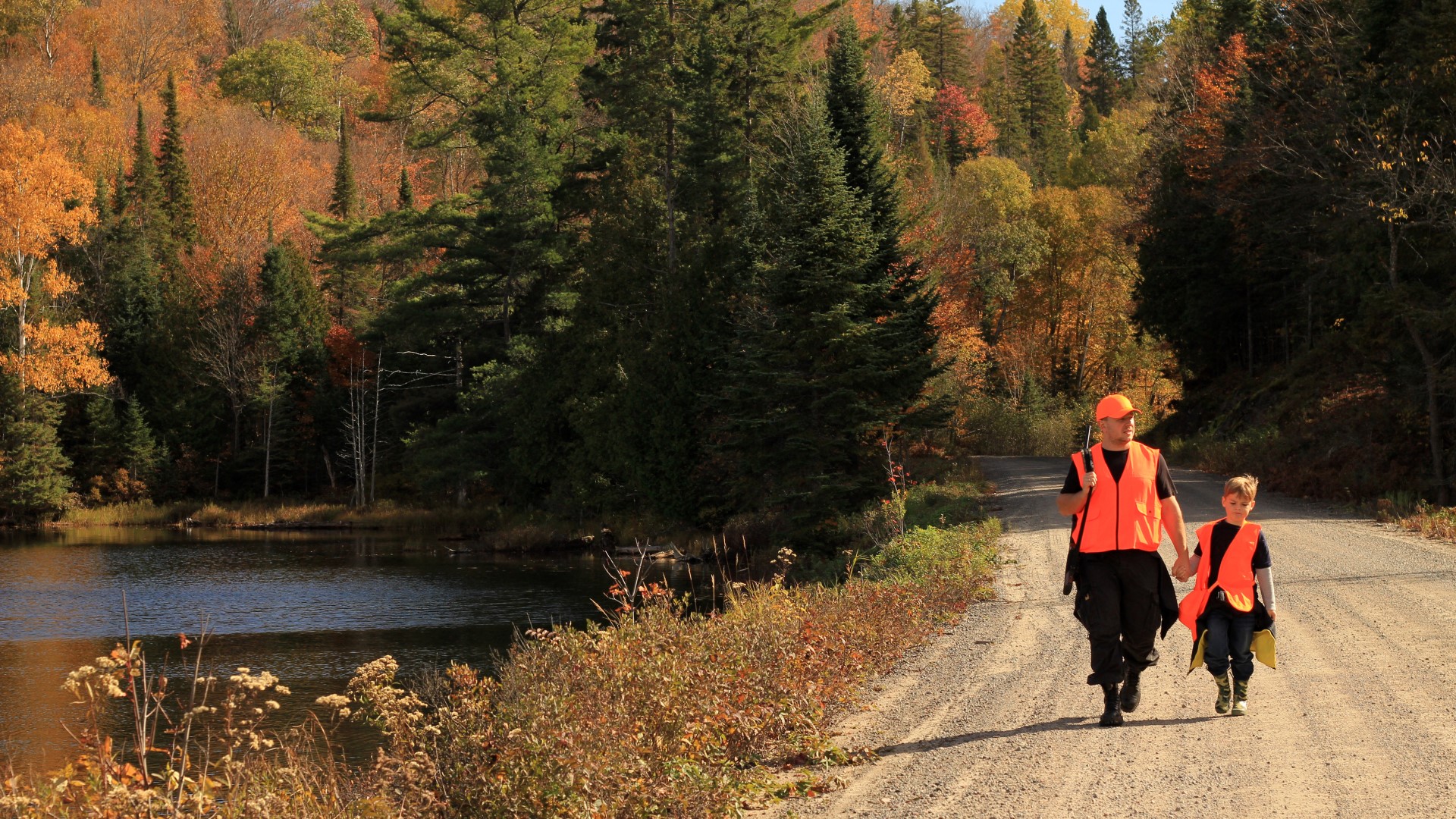 Istock Dvorchak Ready For Hunting Season
