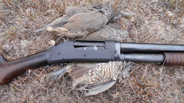 1897-winchester.jpg
