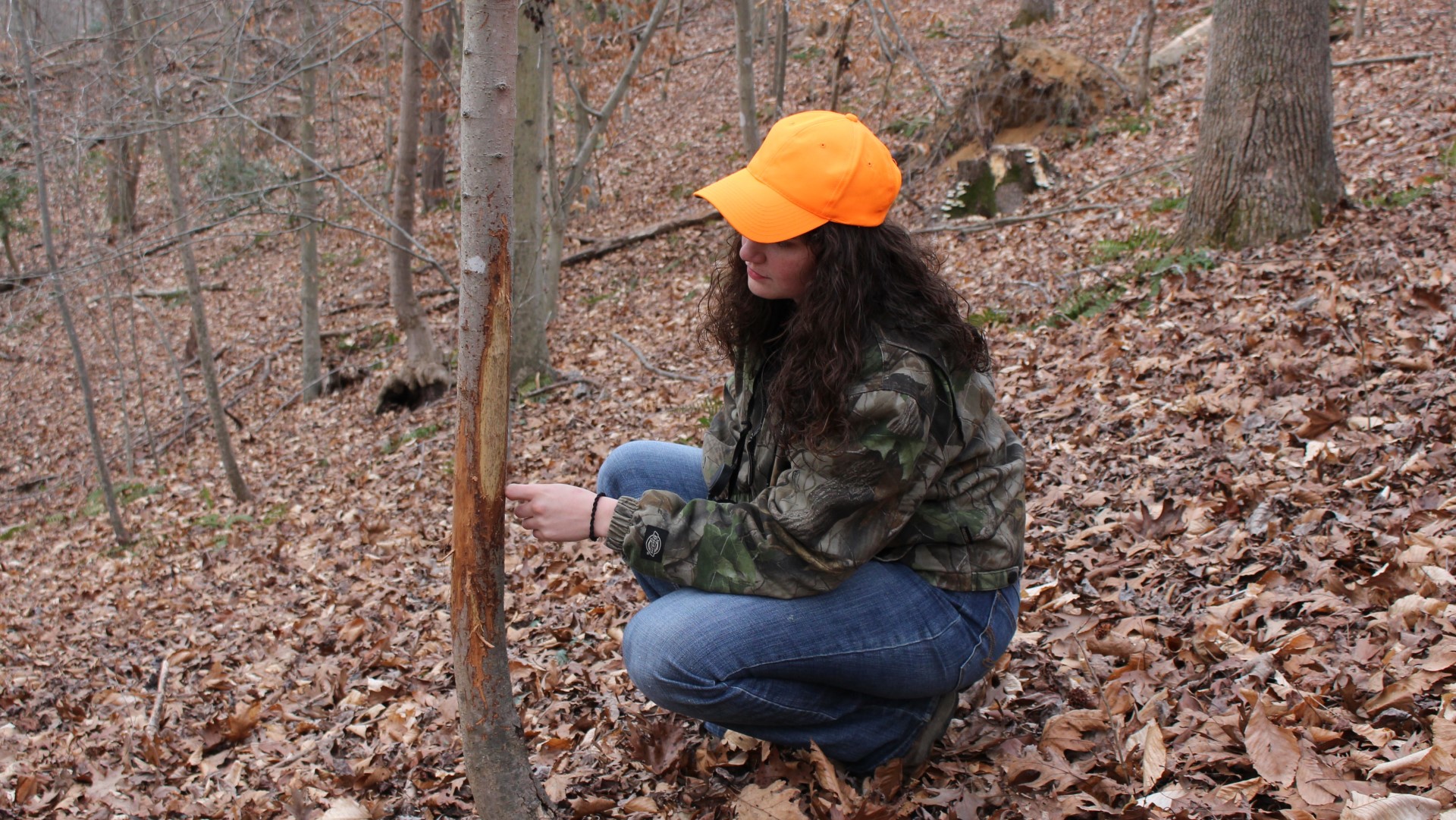 Mentoring Planning Hunt Scouting Fike