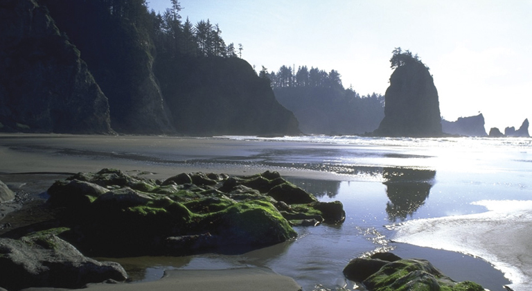 olympic_national_park_coast.jpg