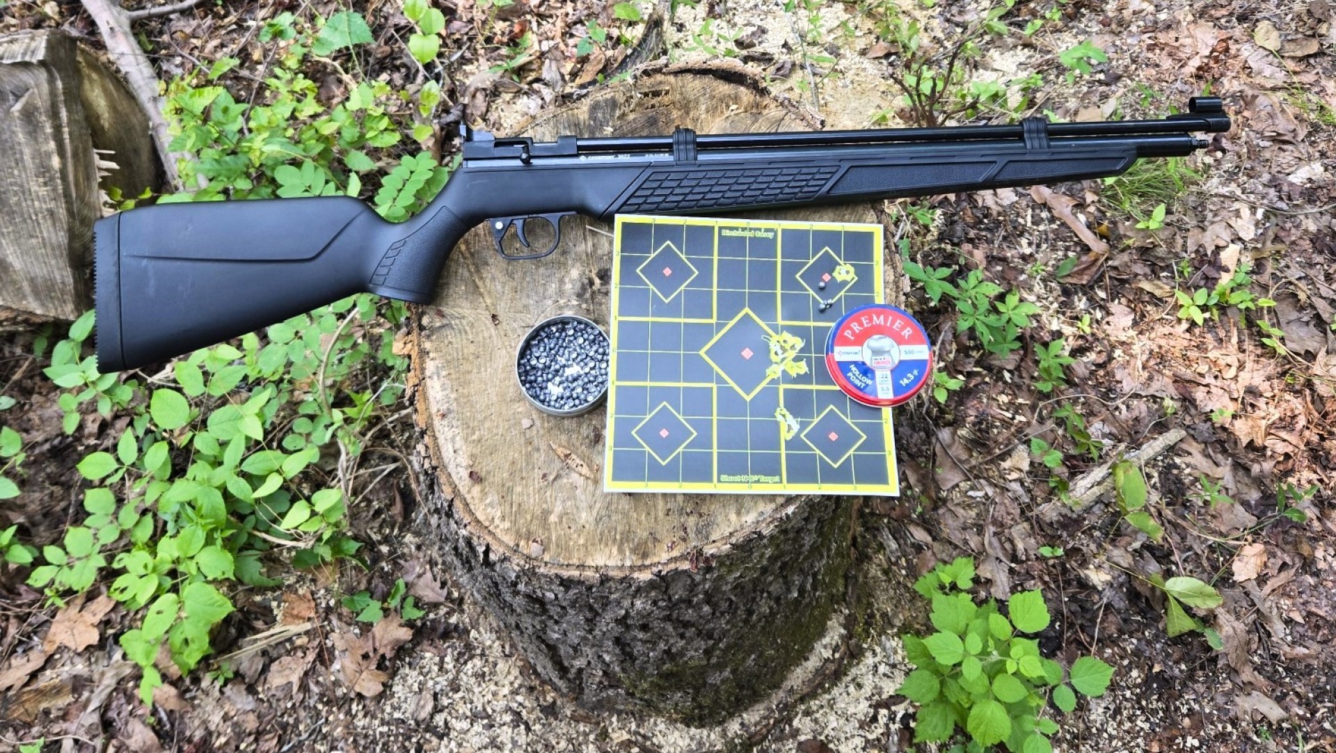 Crosman 3622 Full Size