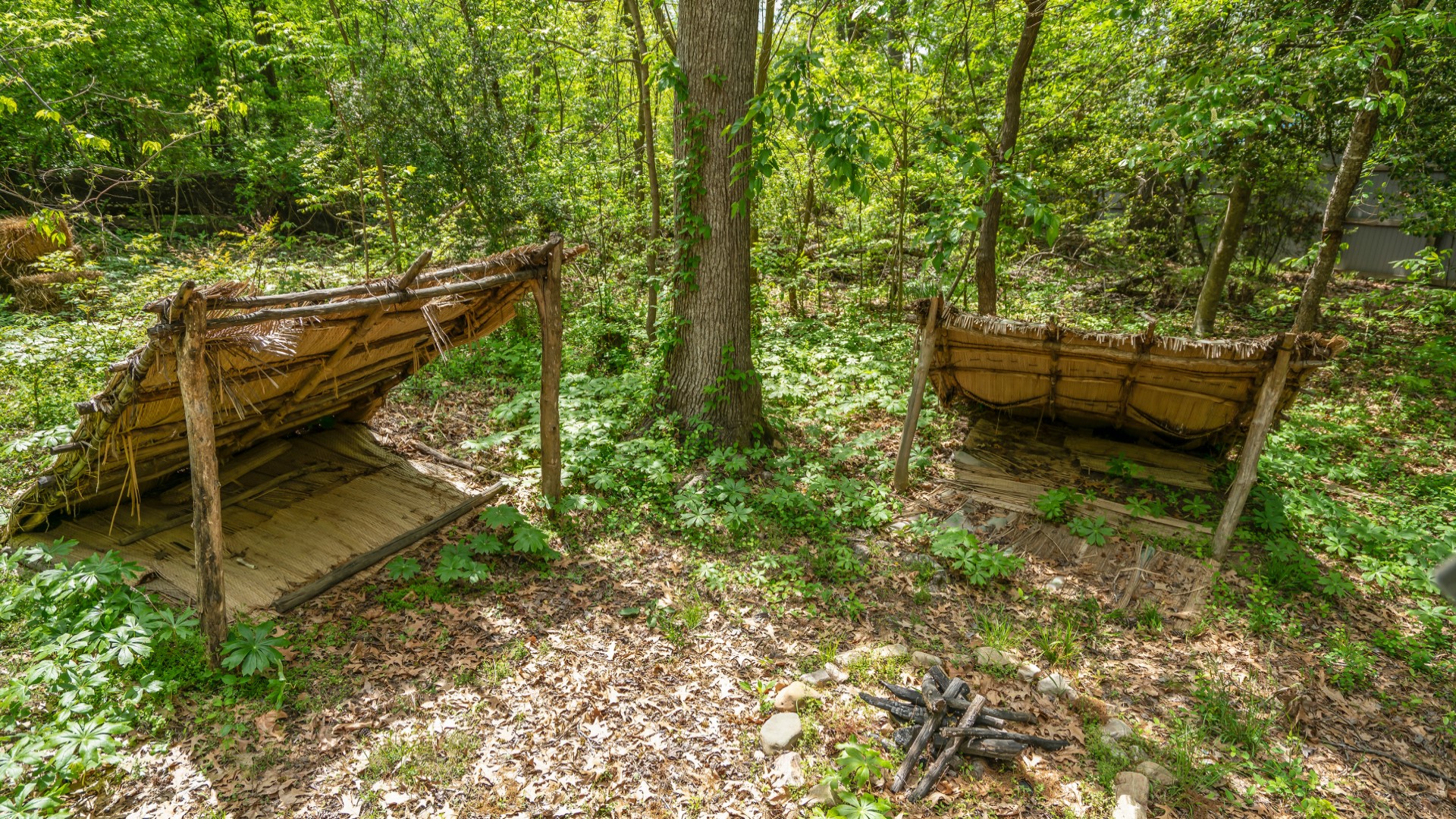 Lean To Shelter
