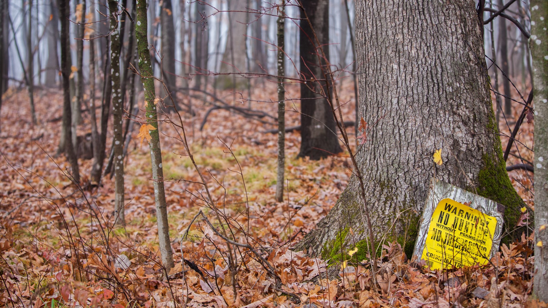 Getting Landowner Permission