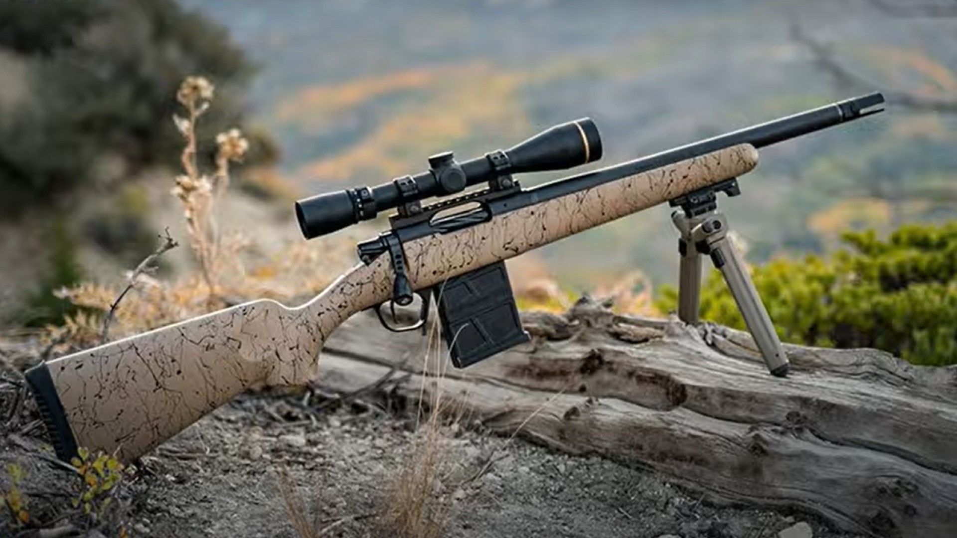 Video Review: Christensen Arms Ridgeline Scout Rifle | NRA Family