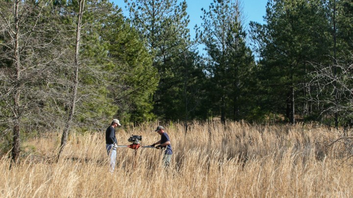 People wearing blue and white in the backwoods during turkey season. Not a good look.