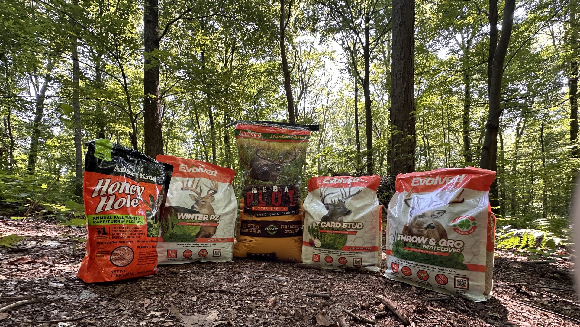 Melloni Food Plot Lede