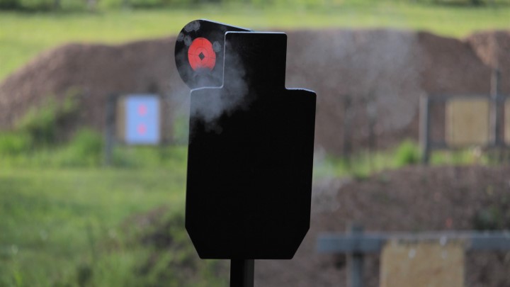 birchwood casey hostage target