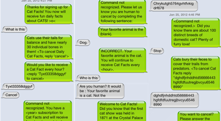 welcome-to-cat-facts.jpg
