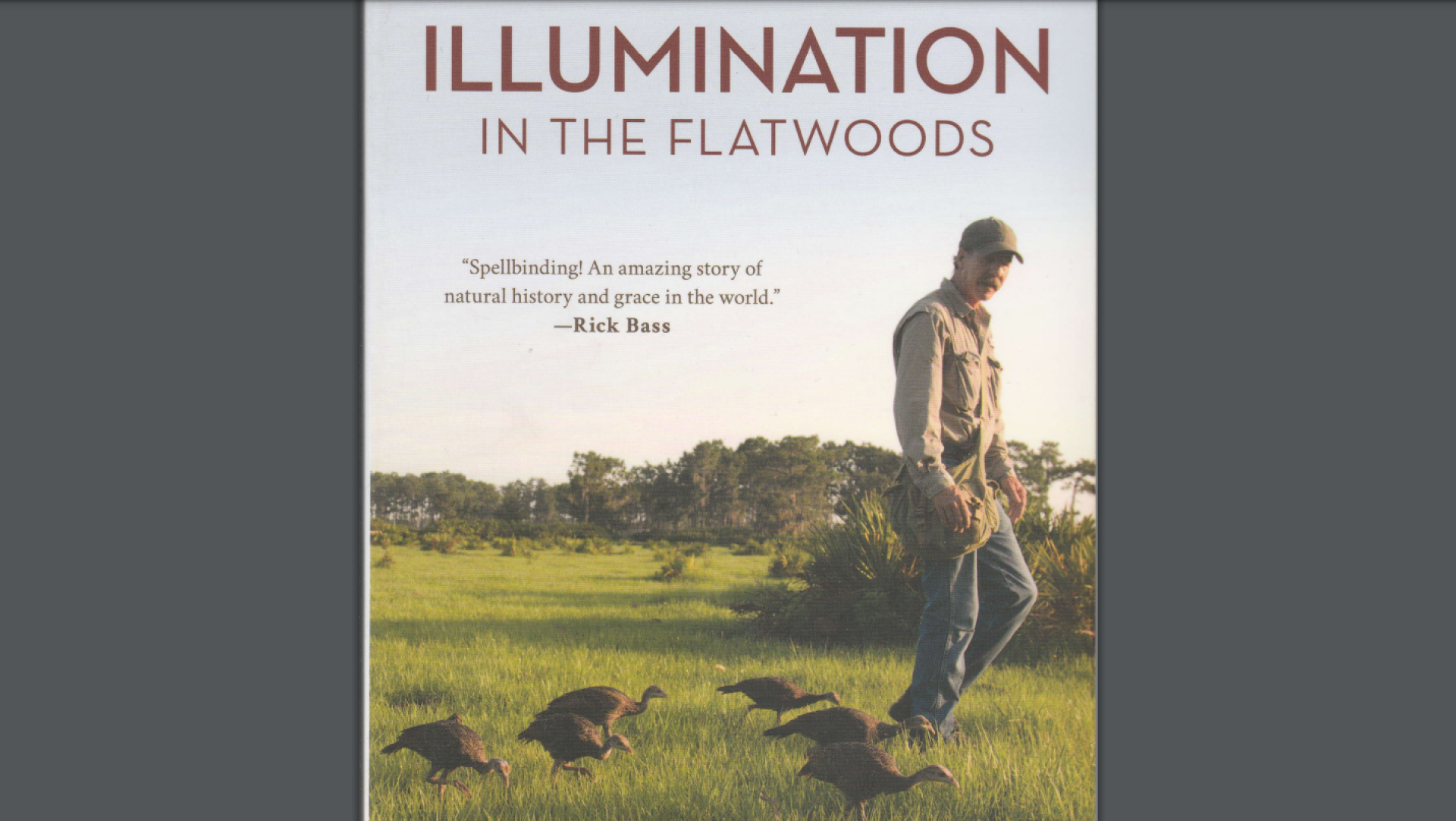 Illumination In The Flatwoods Book Cover