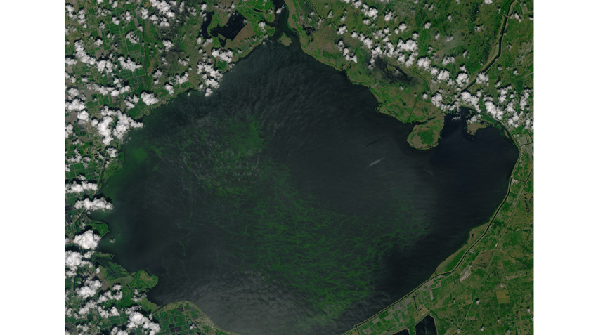 cyanobacteria-from-spaaaaace.jpg