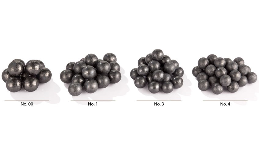 various sizes of buckshot
