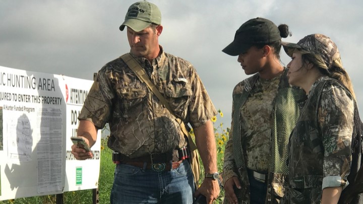 dove-hunt-etiquette.jpg