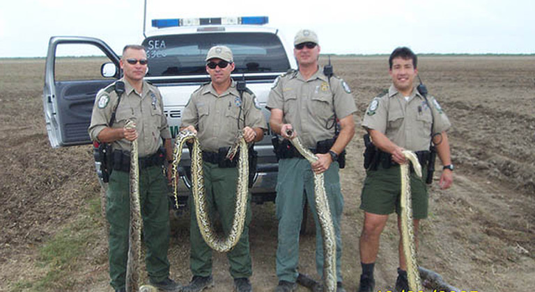 python-patrol.jpg