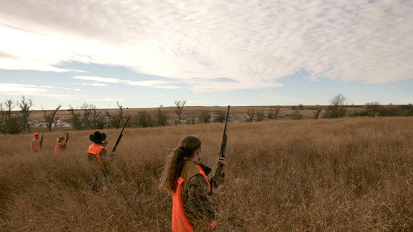 pheasant hunters moving in a line