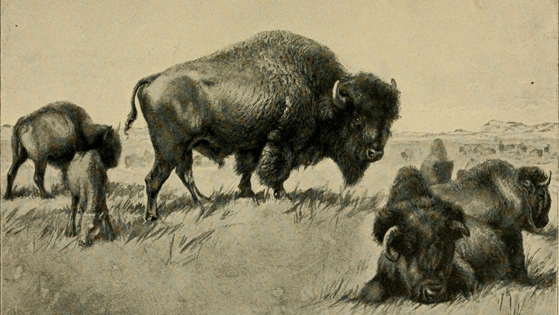 George Bird Grinnell Lede Public Domain