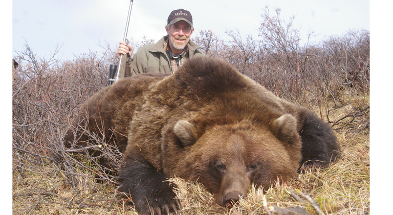 Grizzly bear guide: where they live, how they hunt and