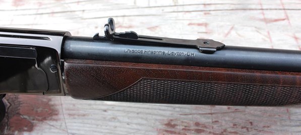 buckhorn-sight.jpg