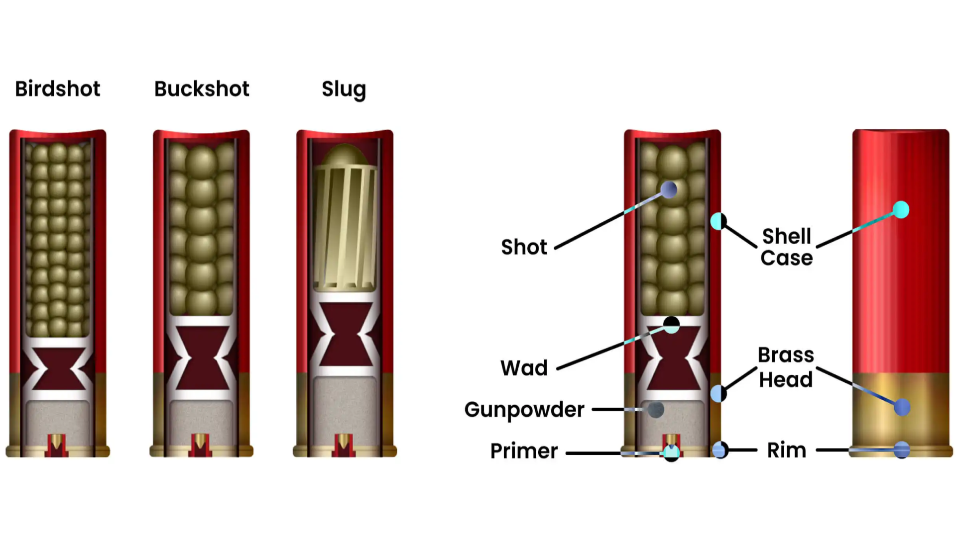 Shotgun Shells Explained - Types Of Ammo (Birdshot, Buckshot, Slugs)