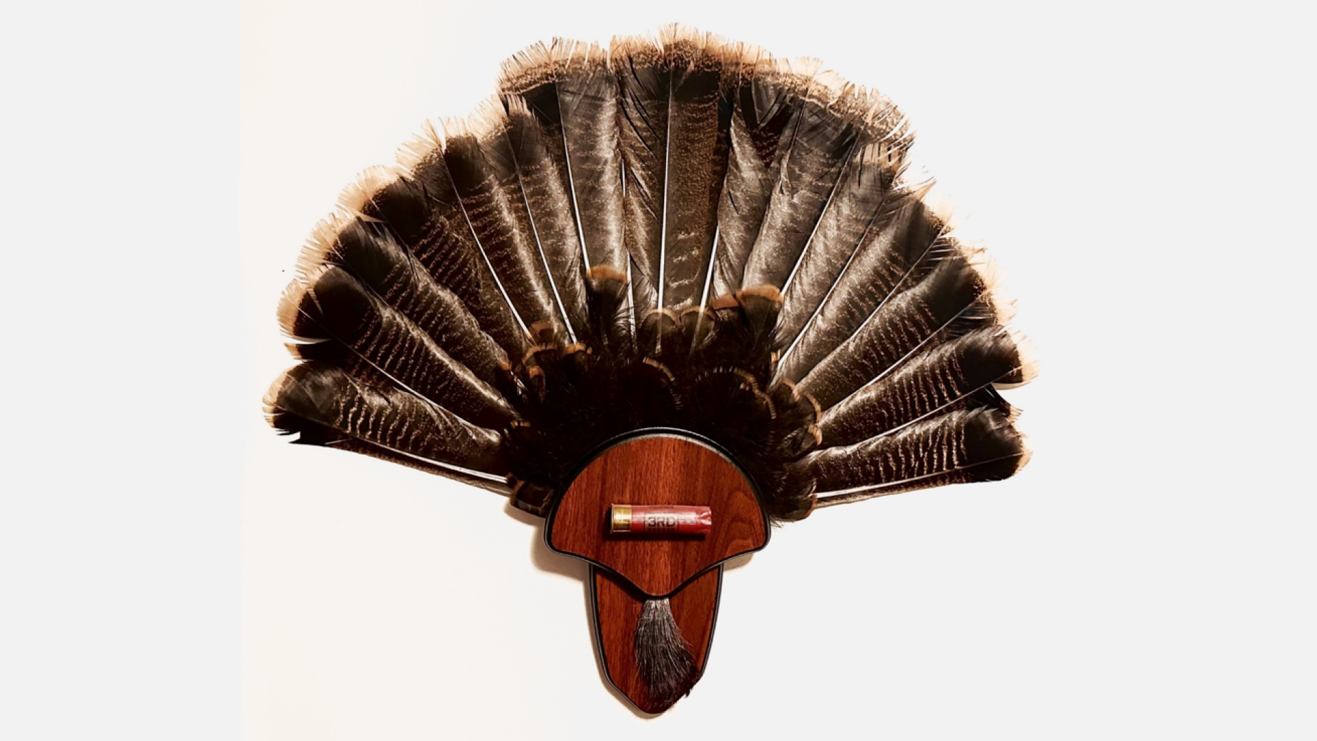 Diy Turkey Fan
