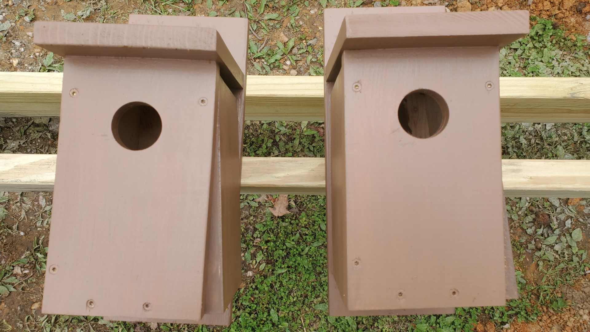 Bluebird Boxes