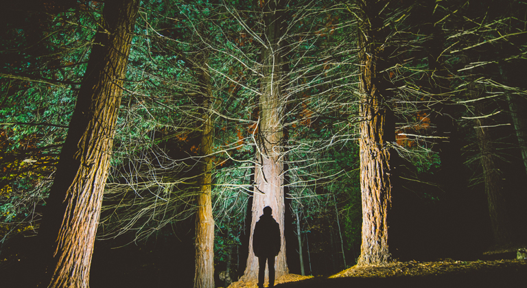 man alone in the dark woods