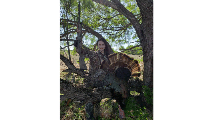 turkey_lede_3.gif