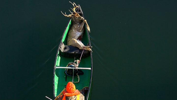 boundarywatersbucks_lead.jpg