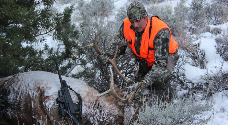 4-reasons-to-hunt.jpg